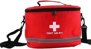 Botiquín de Primeros Auxilios Profesional - Tu Compañero de Seguridad