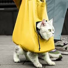 Bolso Gato Transpirable e Impermeable para Mascotas