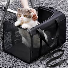 Transportin para Cachorros Conlun: Comodidad y Estilo en Viajes